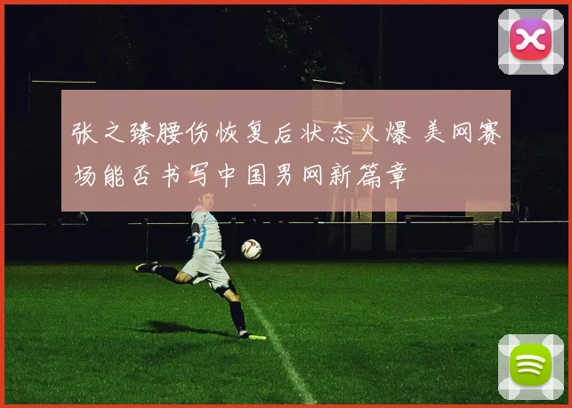 张之臻腰伤恢复后状态火爆 美网赛场能否书写中国男网新篇章