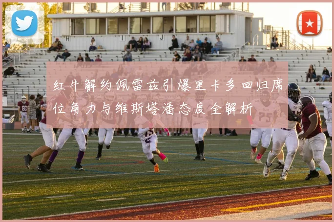 红牛解约佩雷兹引爆里卡多回归席位角力与维斯塔潘态度全解析