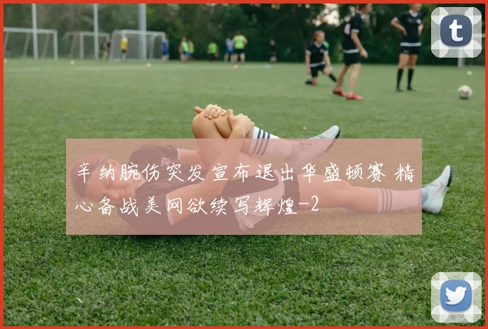 辛纳腕伤突发宣布退出华盛顿赛 精心备战美网欲续写辉煌